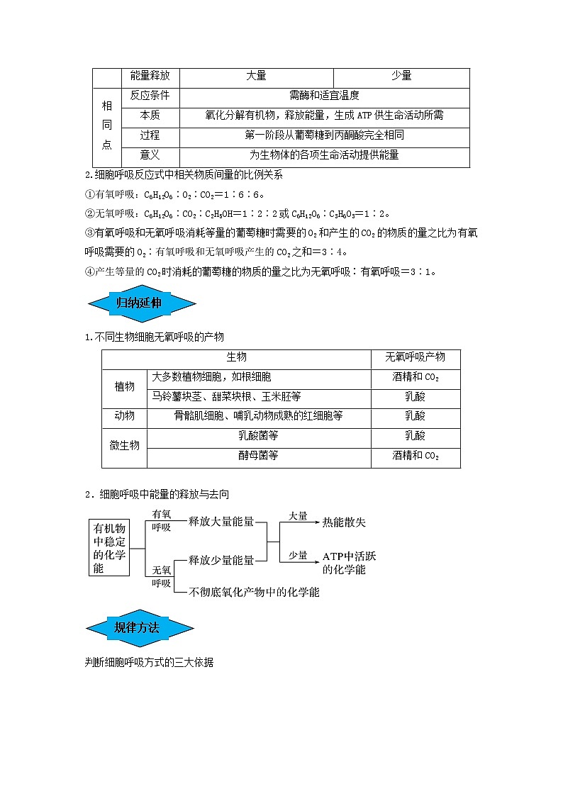 专题08 细胞呼吸(串讲)-备战2024年高考生物一轮复习串讲精练(新高考专用)(原卷版)第3页