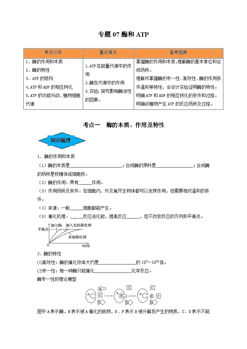 专题07 酶和ATP(串讲)-备战2024年高考生物一轮复习串讲精练(新高考专用)(原卷版)第1页