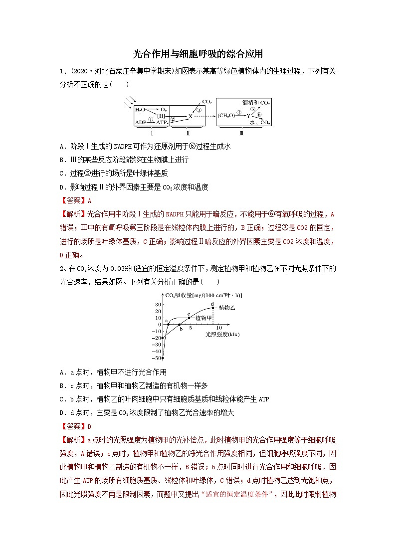专题10 光合作用与细胞呼吸的综合应用(精练)-备战2024年高考生物一轮复习串讲精练(新高考专用)(解析版)第1页