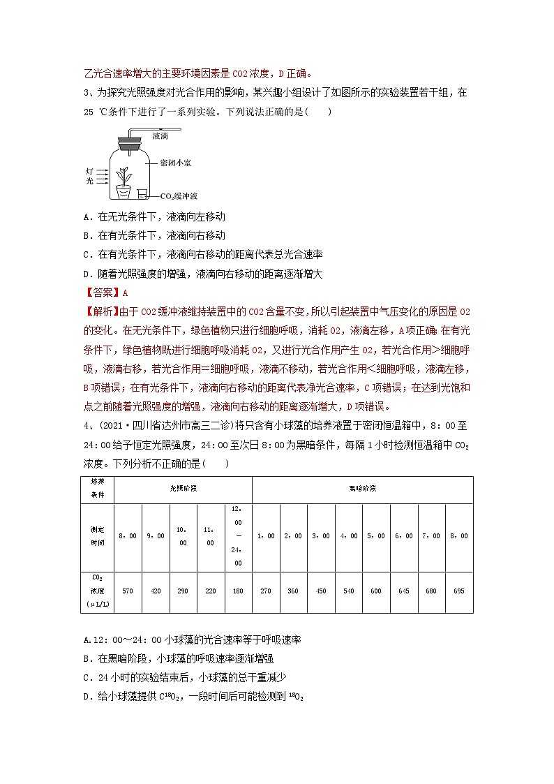 专题10 光合作用与细胞呼吸的综合应用(精练)-备战2024年高考生物一轮复习串讲精练(新高考专用)(解析版)第2页