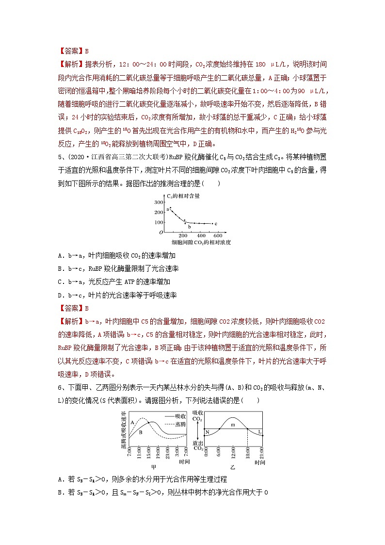 专题10 光合作用与细胞呼吸的综合应用(精练)-备战2024年高考生物一轮复习串讲精练(新高考专用)(解析版)第3页