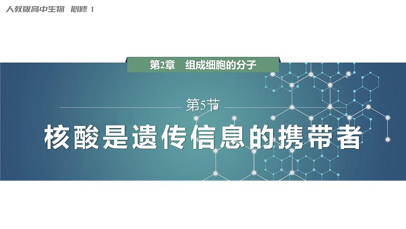 第2章 第5节 核酸是遗传信息的携带者 高中生物学人教版(2019)必修一课件PPT第1页