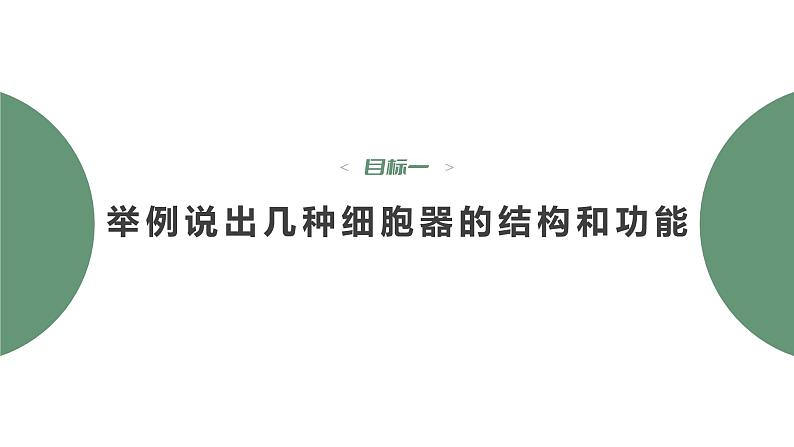 第3章 第2节 第1课时 细胞器之间的分工 高中生物学人教版(2019)必修一课件PPT04
