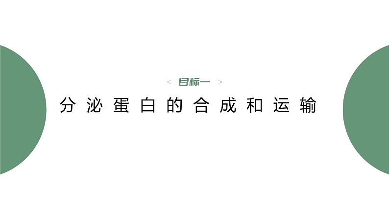 第3章 第2节 第2课时 细胞器之间的协调配合 高中生物学人教版(2019)必修一课件PPT第4页