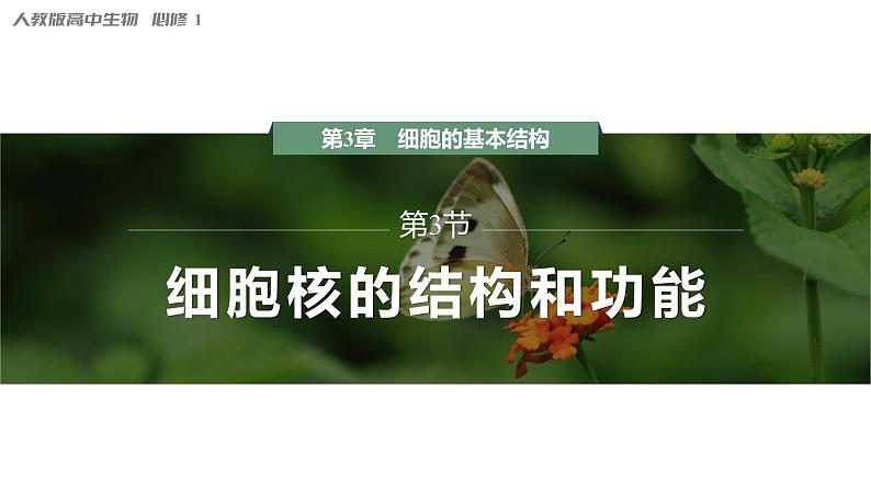 第3章 第3节 细胞核的结构和功能 高中生物学人教版(2019)必修一课件PPT第1页