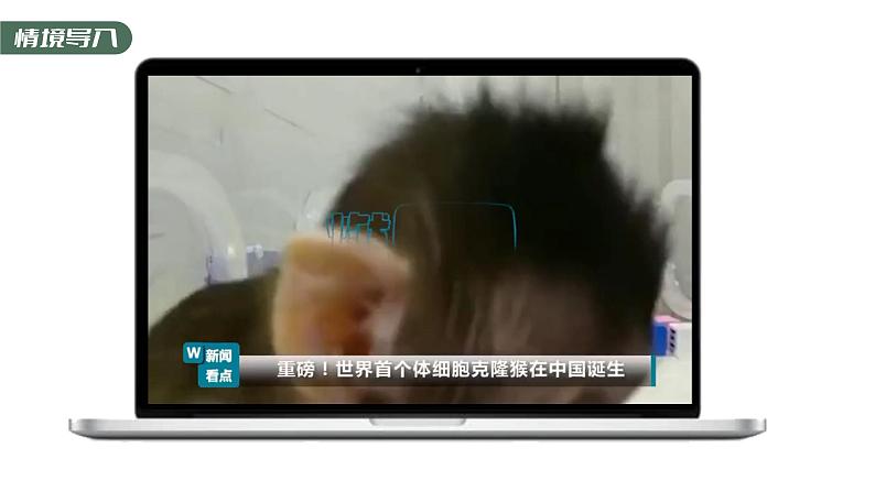 第3章 第3节 细胞核的结构和功能 高中生物学人教版(2019)必修一课件PPT第3页