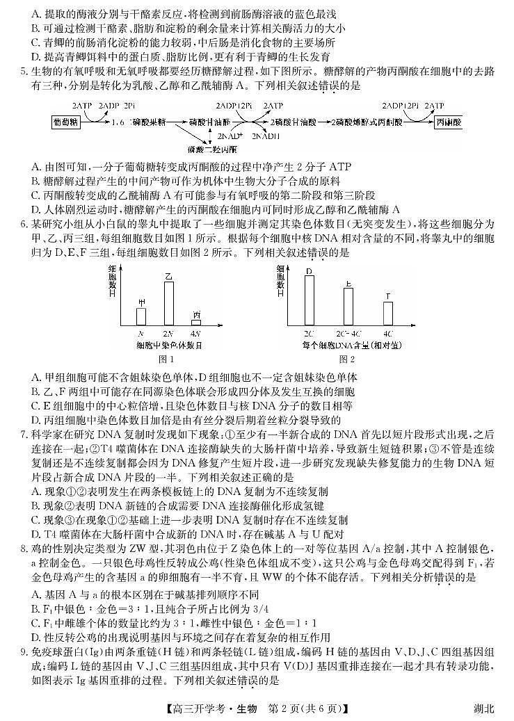 湖北省2024届高三上学期8月开学考试生物第2页