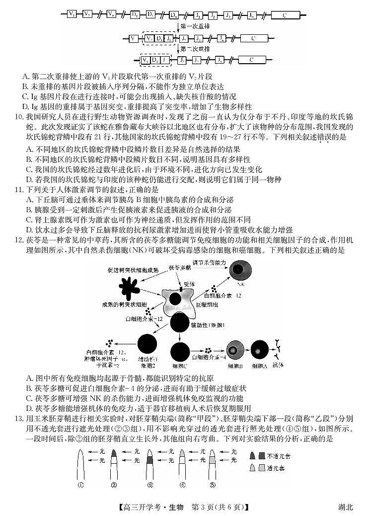 湖北省2024届高三上学期8月开学考试生物第3页