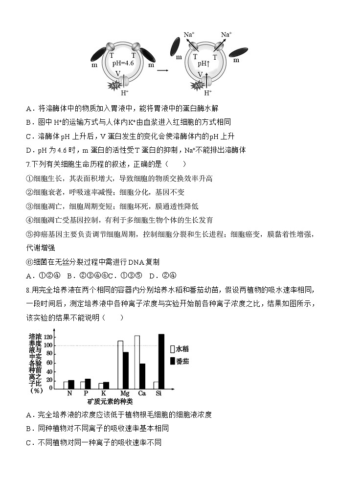 河南省重点高中2021-2022学年高三上学期阶段性调研联考二生物试题(Word版含答案)第3页