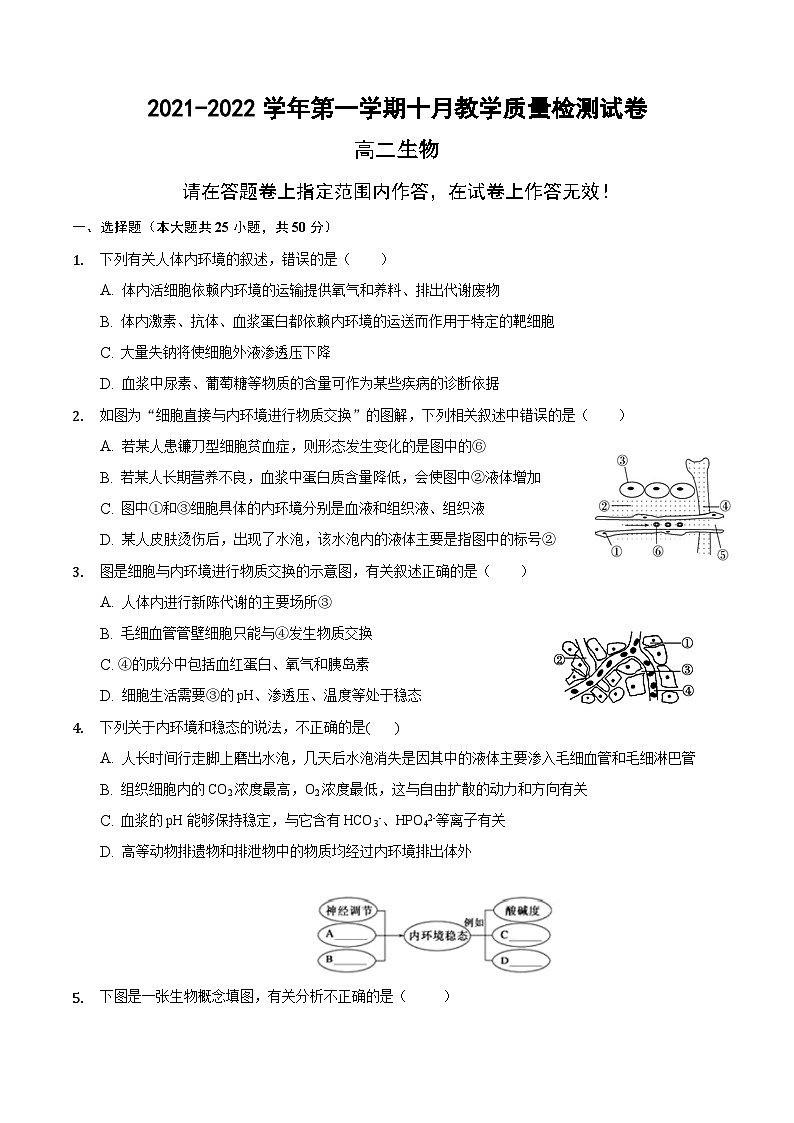 安徽省定远县炉桥中学2021-2022学年高二上学期10月教学质量检测生物【试卷+答案】第1页