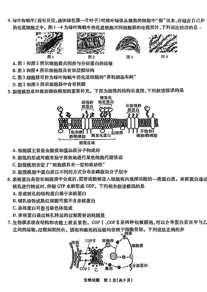 重庆市南开中学2023-2024学年高三上学期第一次质量检测生物试题及答案02