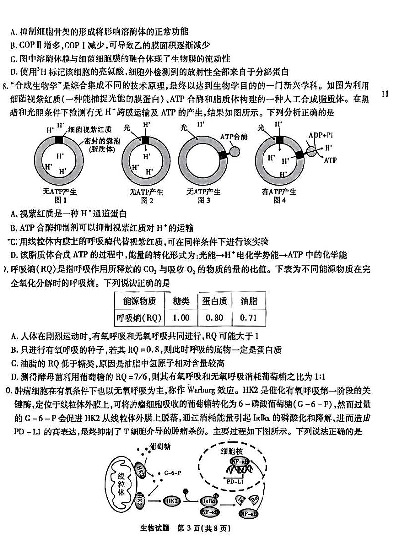重庆市南开中学2023-2024学年高三上学期第一次质量检测生物试题及答案03