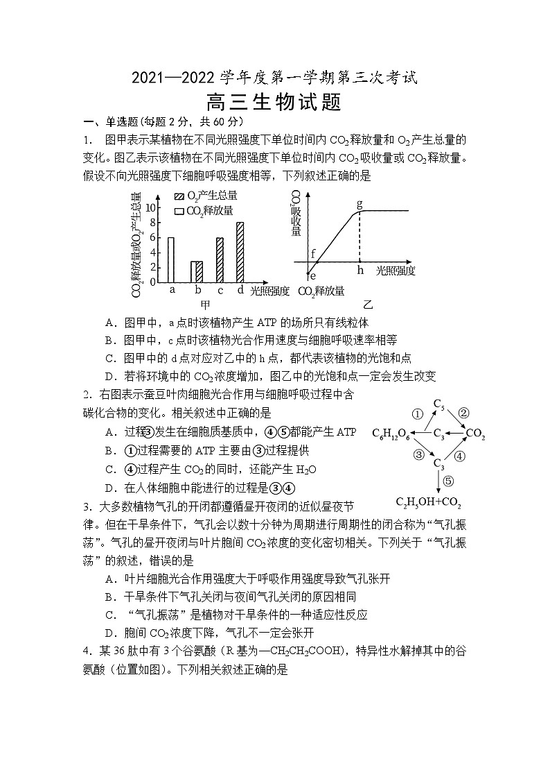 安徽省怀宁县第二中学2021-2022学年高三上学期第二次月考生物【试卷+答案】第1页
