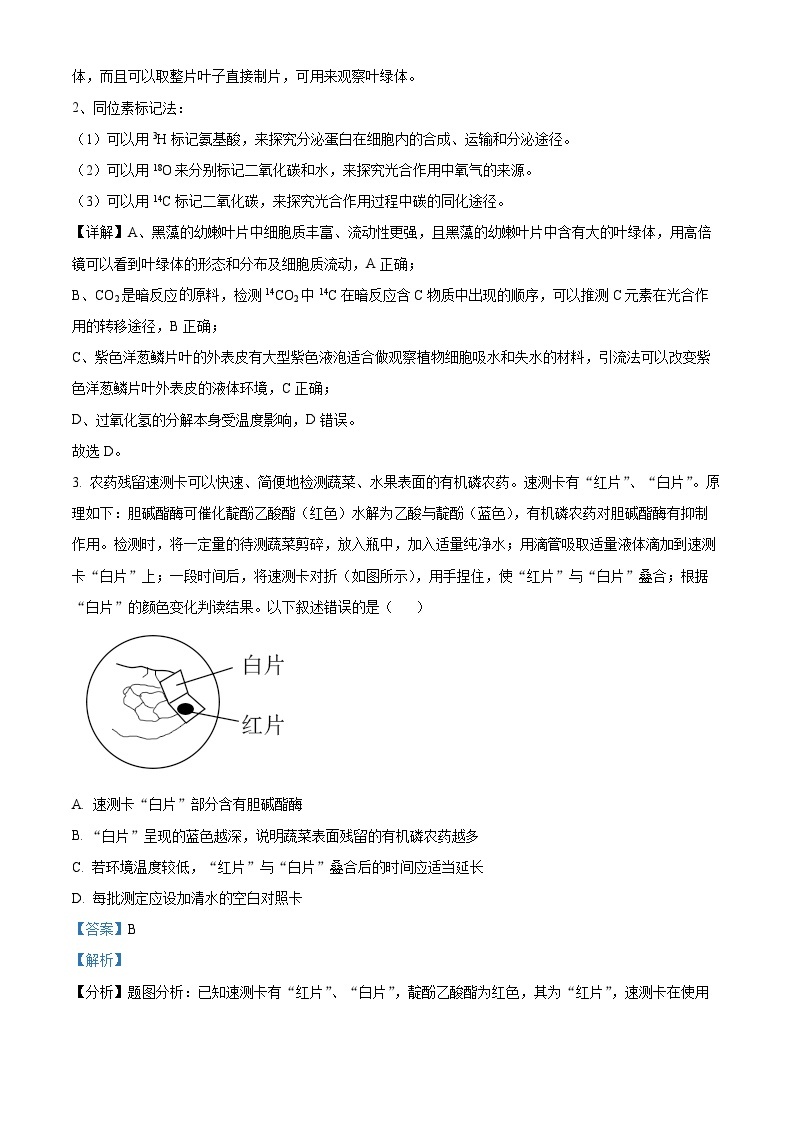 湖南省常德市第一中学2023-2024学年高三生物上学期第二次月考试题（Word版附解析）02