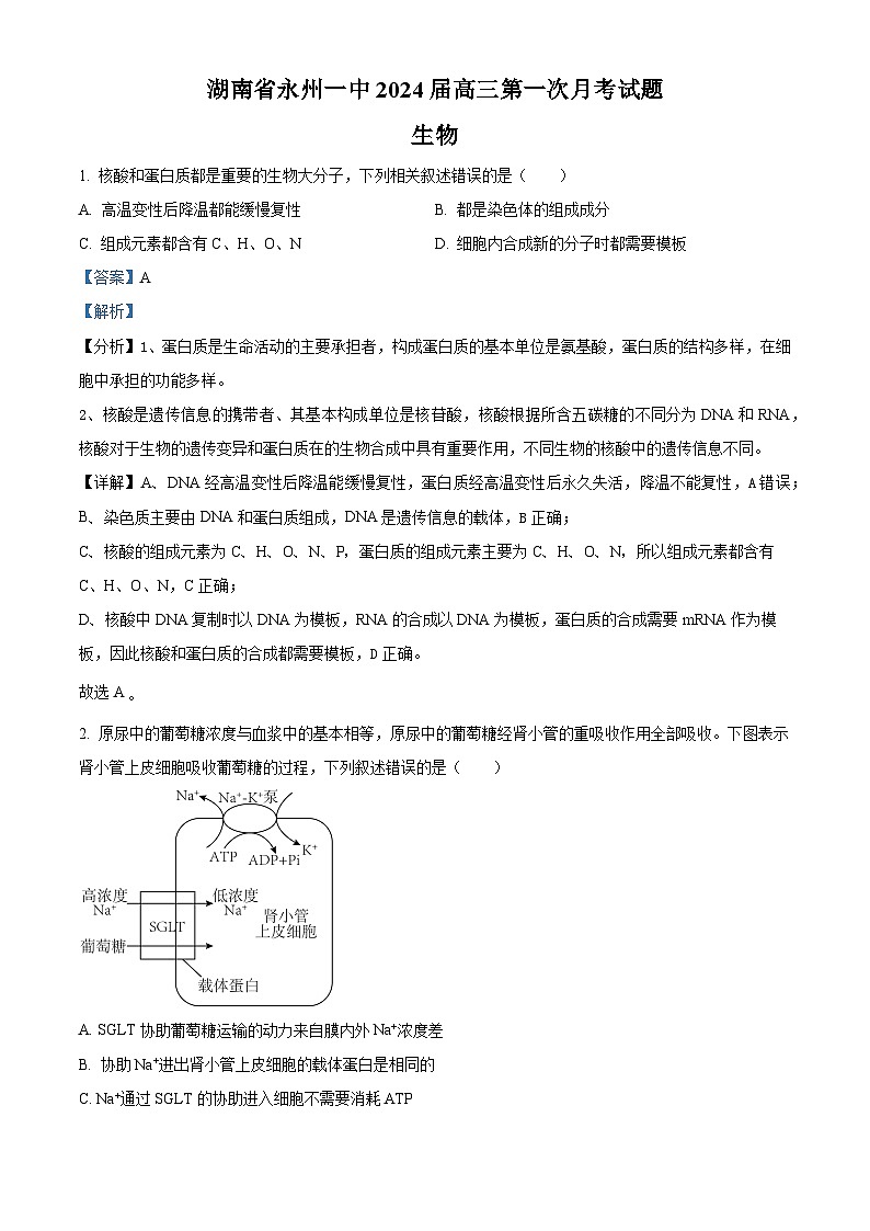 湖南省永州市第一中学2024届高三生物上学期第一次月考试题(Word版附解析)01