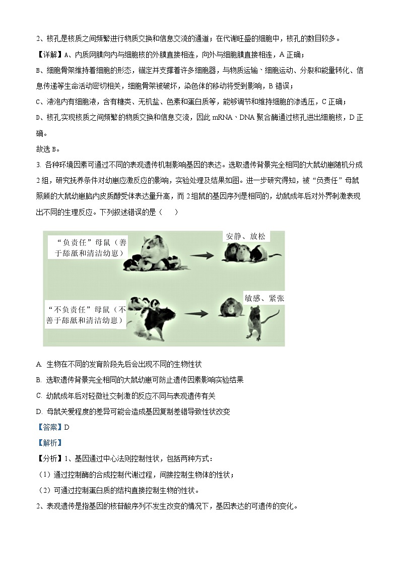 湖南省长沙市长郡中学2023-2024学年高三生物上学期开学考试试题(Word版附解析)第2页