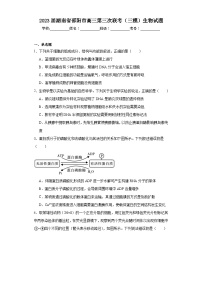 2023届湖南省邵阳市高三第三次联考（三模）生物试题（含解析）
