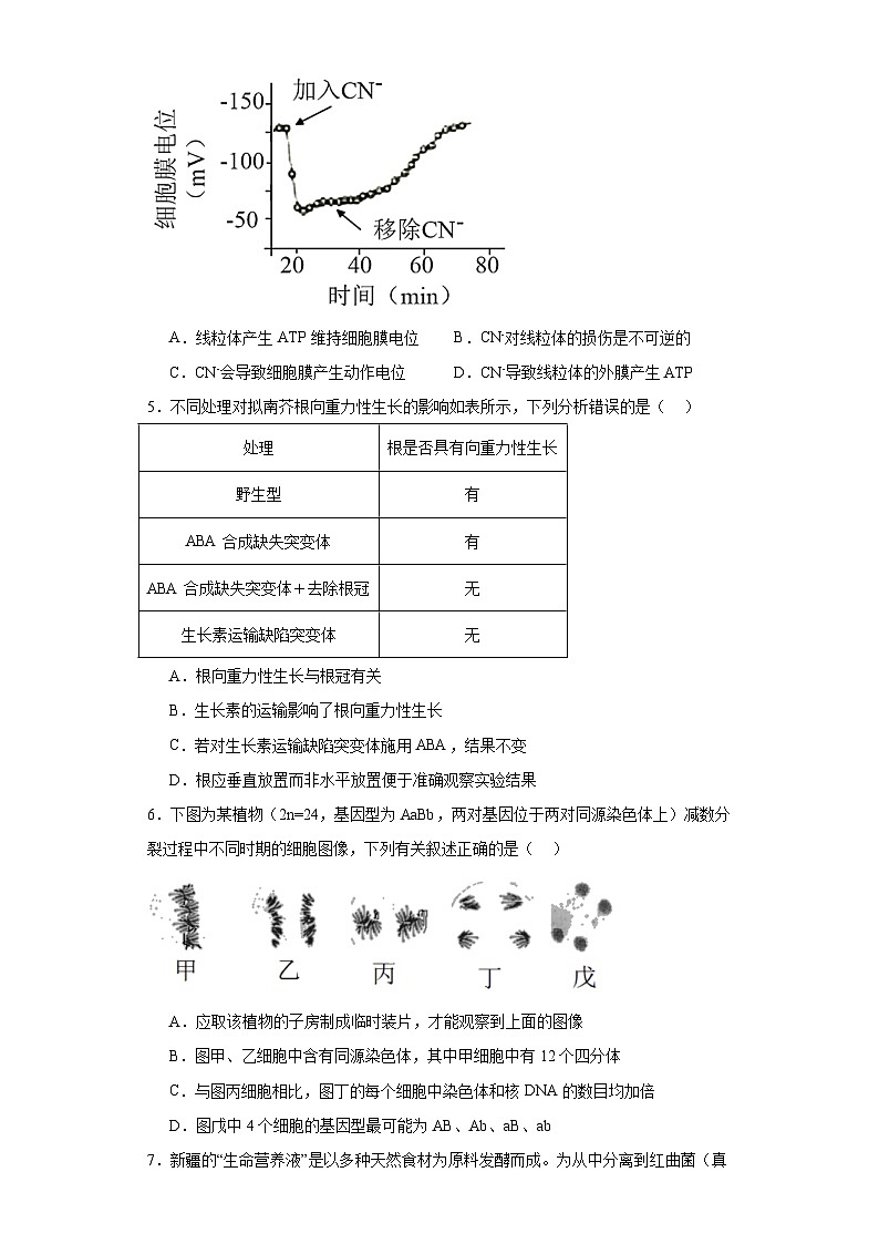 2023届福建省厦门一中高三一模生物试题(含解析)03