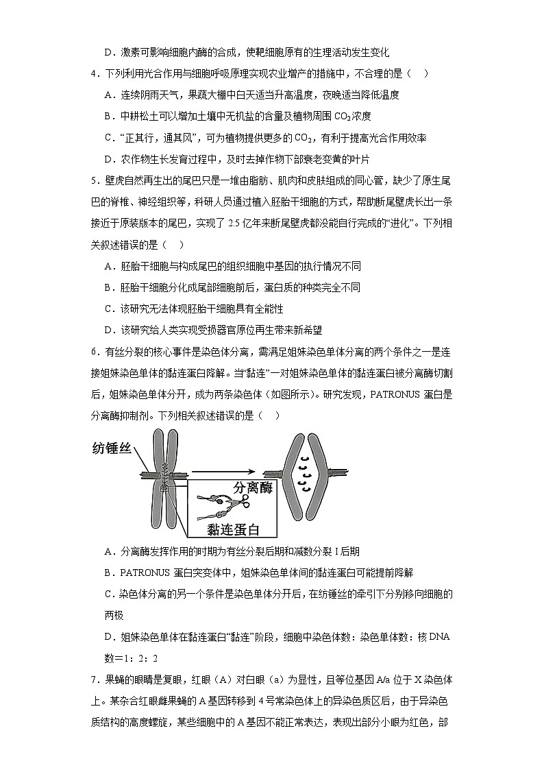 2023届河北省秦皇岛市青龙实验中学高三模拟卷(二)生物试题(含解析)第2页