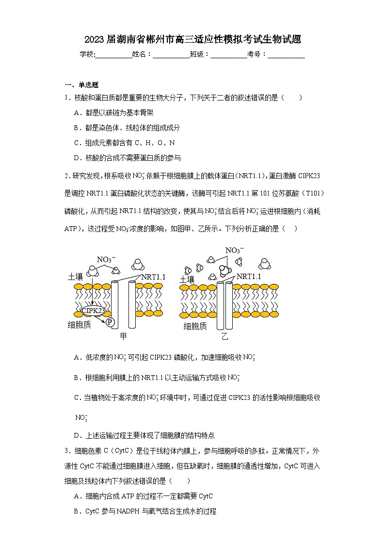 2023届湖南省郴州市高三适应性模拟考试生物试题(含解析)第1页
