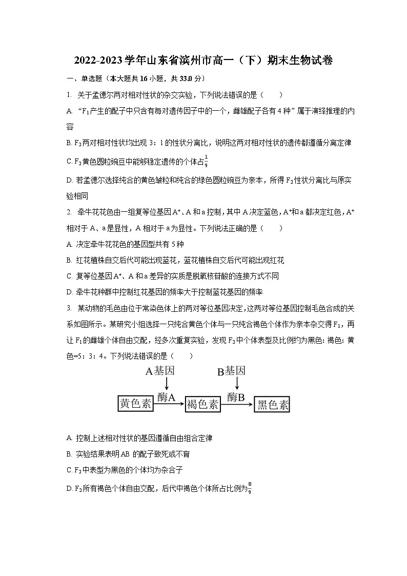 2022-2023学年山东省滨州市高一(下)期末生物试卷(含解析)第1页