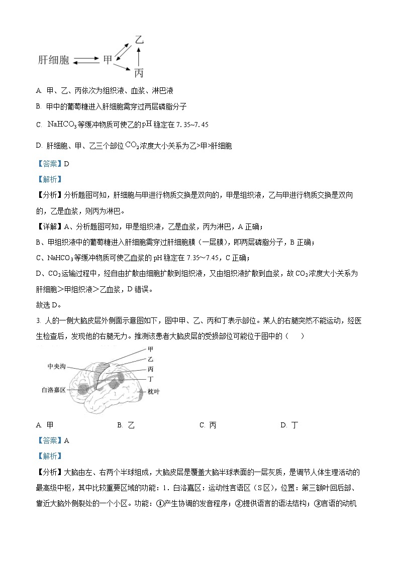 山西省阳泉市第一中学2022-2023学年高二生物上学期11月期中考试试题（Word版附解析）02