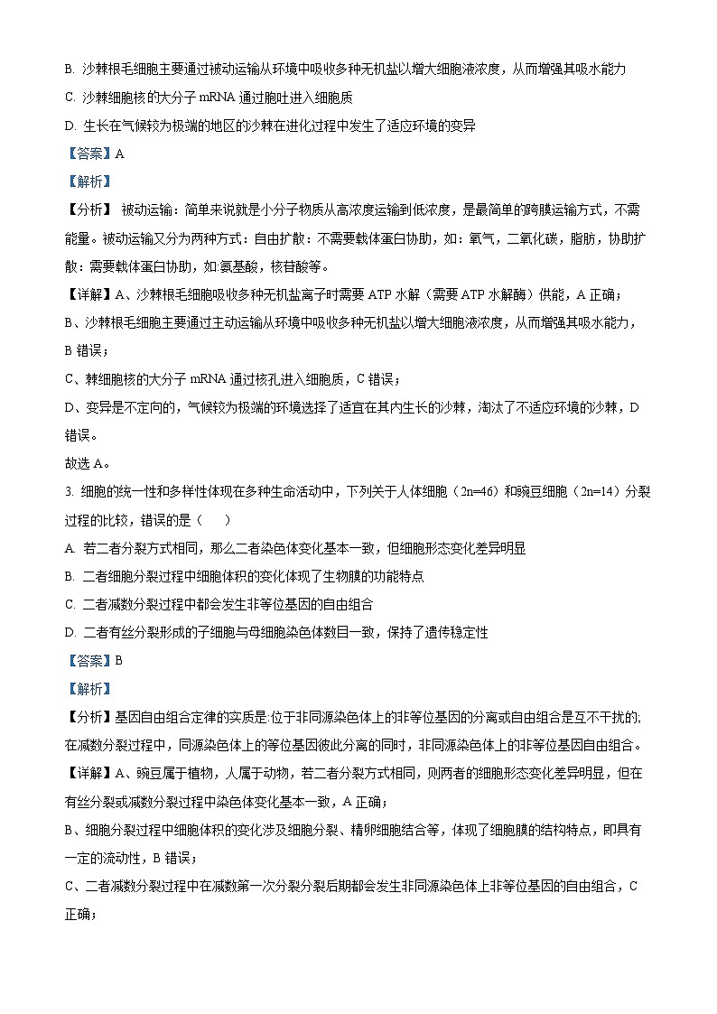 四川省绵阳南山中学实验学校2023届高三生物下学期冲刺考试(二)试题(Word版附解析)第2页
