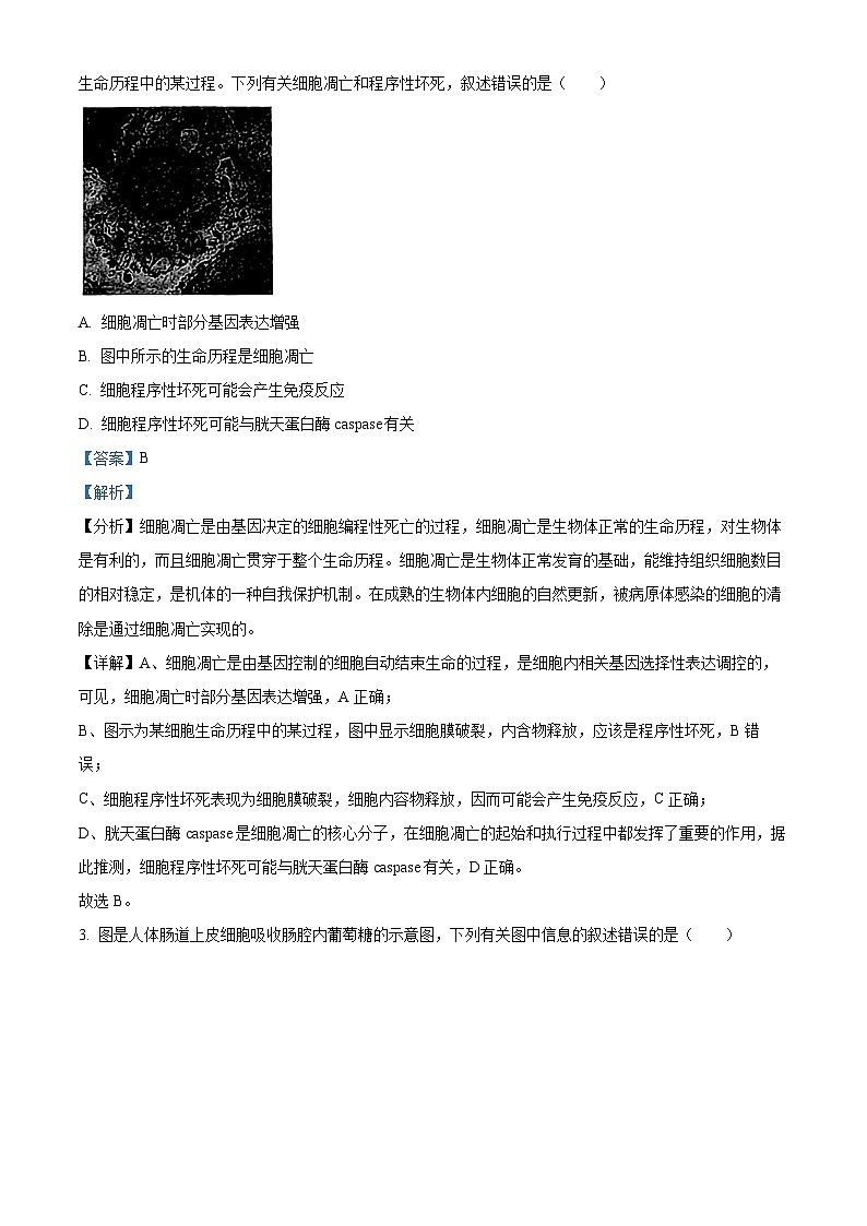 重庆市巴蜀中学2022-2023学年高三生物下学期3月月考试题(Word版附解析)02
