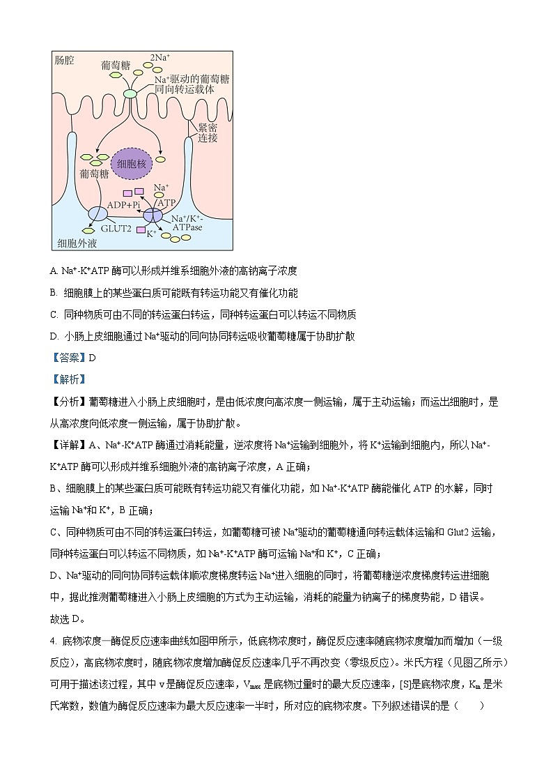 重庆市巴蜀中学2022-2023学年高三生物下学期3月月考试题(Word版附解析)03