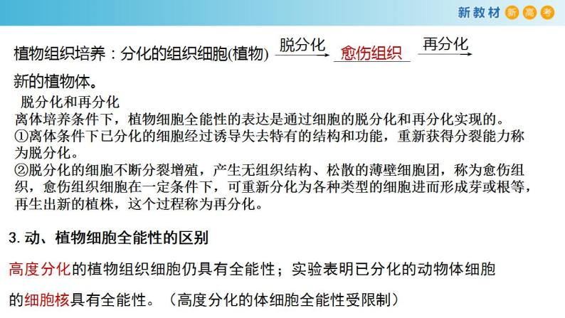 专题12 细胞的分化、癌变、衰老和凋亡-备战2023年高考生物一轮复习全考点精选课件（浙江新教材、新高考专用）07