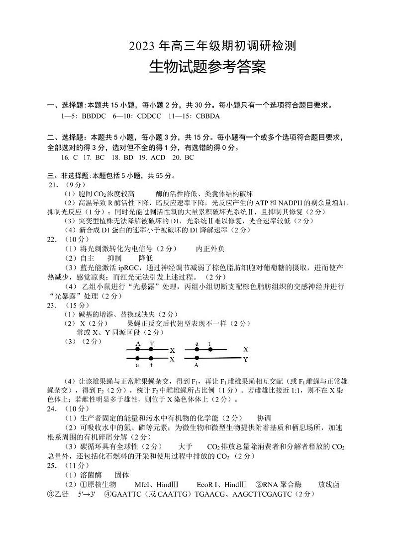 山东省青岛市2024届高三上学期期初调研生物答案第1页