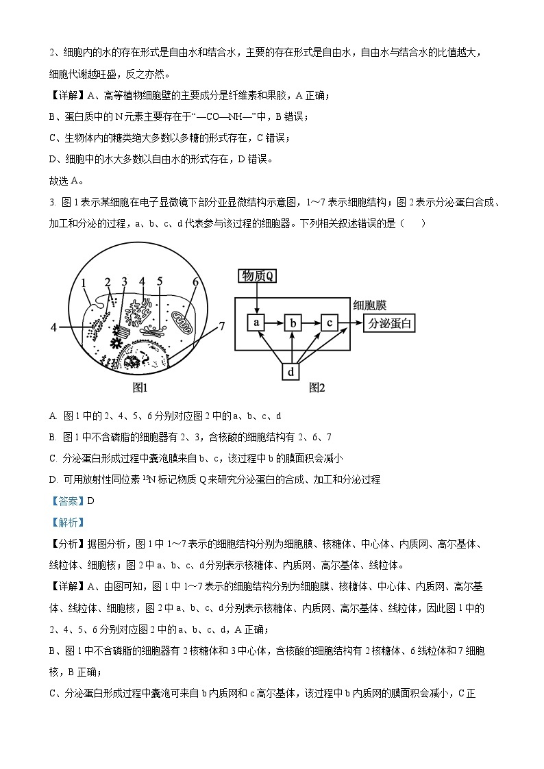 山西省阳泉市第一中学2023-2024学年高二生物上学期开学考试试题（Word版附解析）02