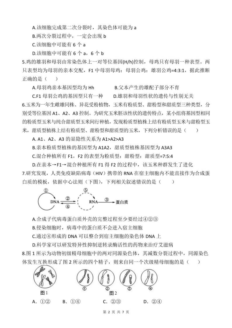 四川省资阳市乐至中学2023-2024学年高二上学期开学考试生物试题02