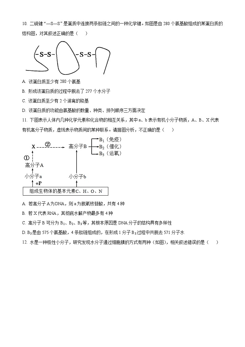 甘肃省天水市甘谷县2023-2024学年高三上学期第一次检测生物试题无答案第3页