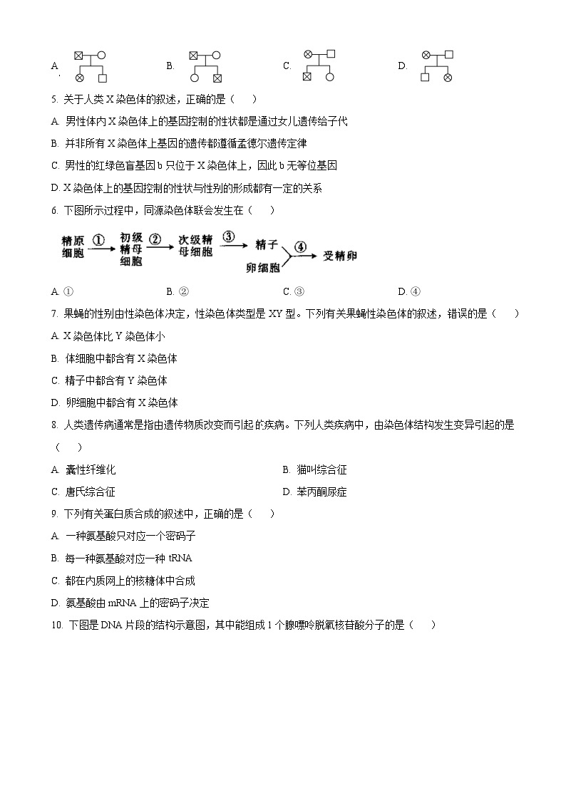 2024张掖某重点校高二上学期开学（暑假学习效果）检测生物试题含解析02