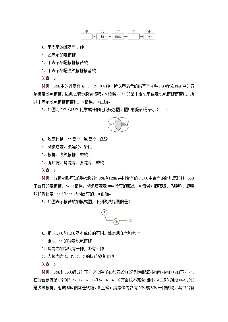 2023新教材高中生物第2章组成细胞的分子第5节核酸是遗传信息的携带者对点训练新人教版必修1第2页