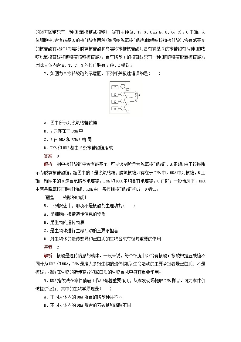2023新教材高中生物第2章组成细胞的分子第5节核酸是遗传信息的携带者对点训练新人教版必修1第3页