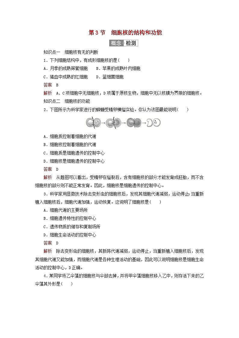 2023新教材高中生物第3章细胞的基本结构第3节细胞核的结构和功能对点训练新人教版必修1第1页