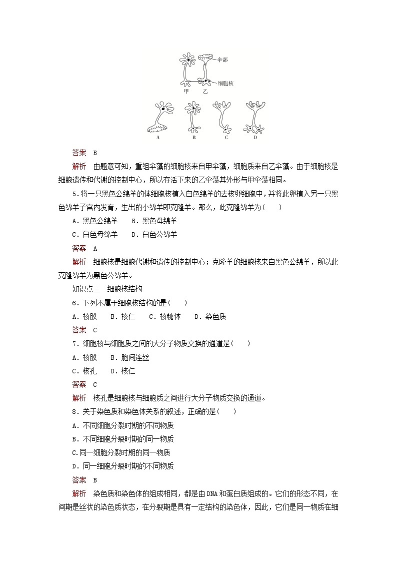 2023新教材高中生物第3章细胞的基本结构第3节细胞核的结构和功能对点训练新人教版必修1第2页
