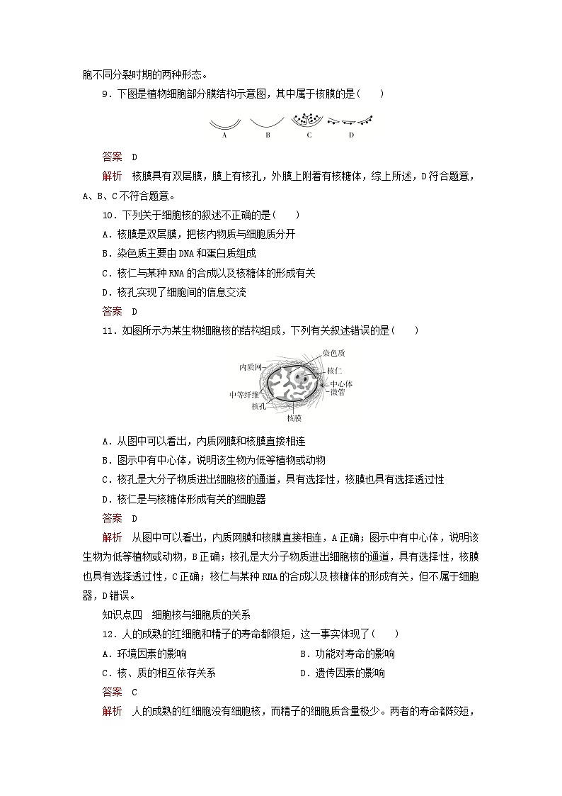 2023新教材高中生物第3章细胞的基本结构第3节细胞核的结构和功能对点训练新人教版必修1第3页