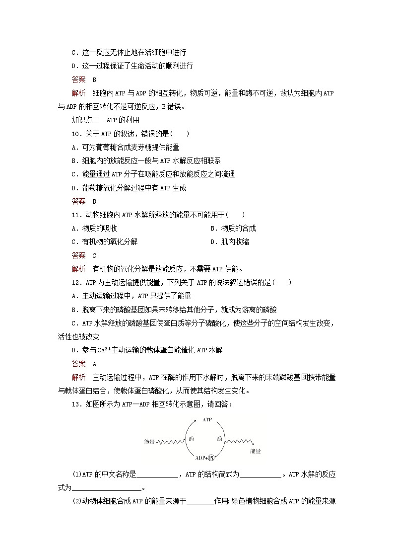 2023新教材高中生物第5章细胞的能量供应和利用第2节细胞的能量“货币”ATP对点训练新人教版必修1第3页