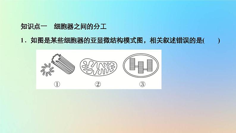 2023新教材高中生物第3章细胞的基本结构第2节细胞器之间的分工合作第1课时细胞器之间的分工作业课件新人教版必修103