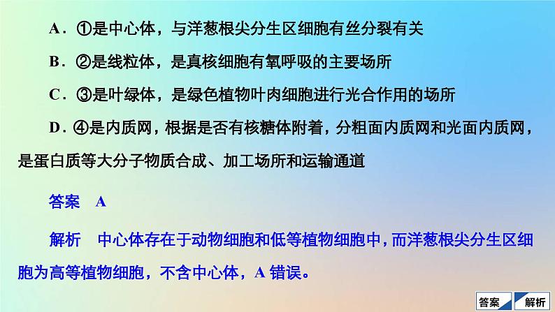 2023新教材高中生物第3章细胞的基本结构第2节细胞器之间的分工合作第1课时细胞器之间的分工作业课件新人教版必修104