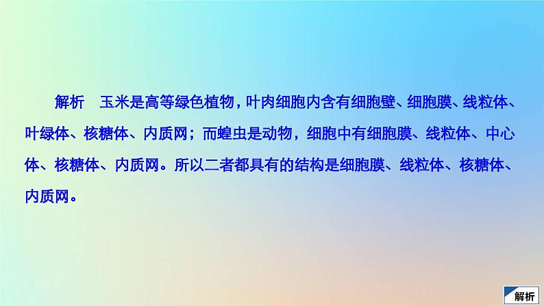 2023新教材高中生物第3章细胞的基本结构第2节细胞器之间的分工合作第1课时细胞器之间的分工作业课件新人教版必修108