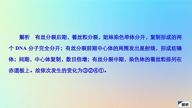 2023新教材高中生物第6章细胞的生命历程第1节细胞的增殖第2课时动物细胞有丝分裂及观察根尖分生区组织细胞有丝分裂实验作业课件新人教版必修1第4页