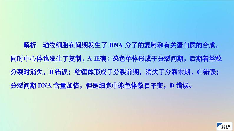2023新教材高中生物第6章细胞的生命历程第1节细胞的增殖第2课时动物细胞有丝分裂及观察根尖分生区组织细胞有丝分裂实验作业课件新人教版必修1第6页