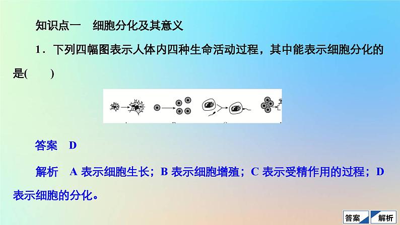 2023新教材高中生物第6章细胞的生命历程第2节细胞的分化作业课件新人教版必修1第3页