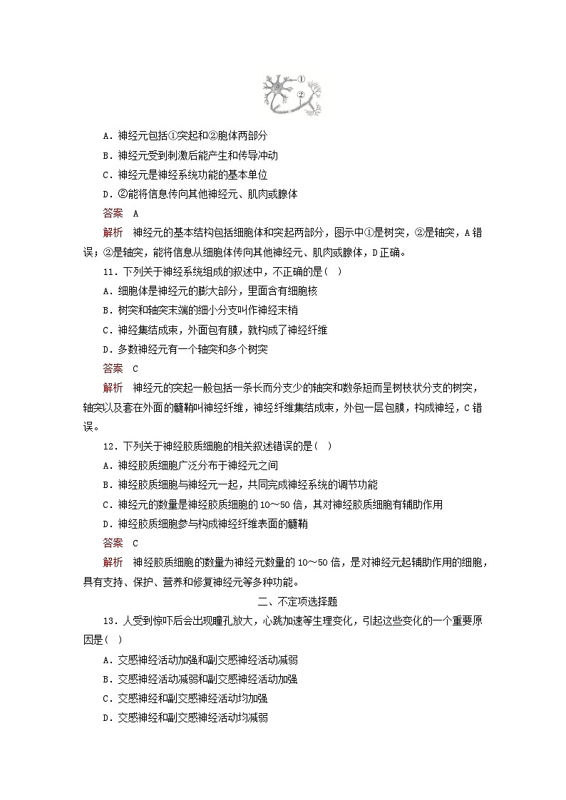 2023新教材高中生物第2章神经调节第1节神经调节的结构基丛点训练新人教版选择性必修1第3页