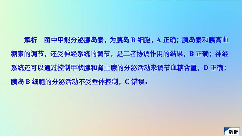 2023新教材高中生物第3章体液调节第2节激素调节的过程作业课件新人教版选择性必修1第8页