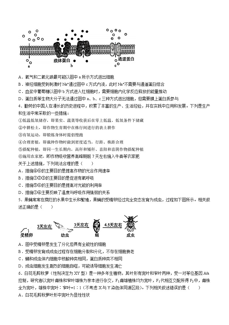 安徽、黑龙江、甘肃省 2023-2024学年高三上学期开学摸底联考生物试题02